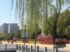 -聚龙湖公园