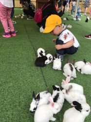 -萌宠亲子动物乐园(槐房万达店)