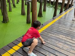 -百味地锅鸡(二店·财校分店)