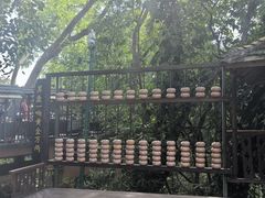 -西双版纳基诺山寨