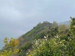 -秦岭风景区