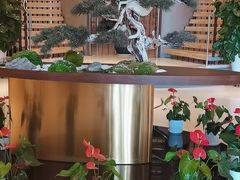 -松鹤楼(狮山永利广场店)