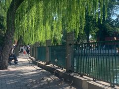 -北海公园-停车场