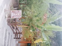 -车溪民俗旅游区