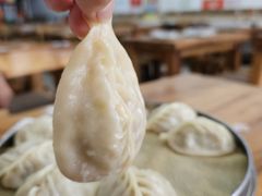 -小叶大馅饺子城