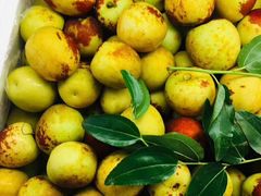 -e佳鲜果(四方坪店)