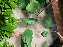 -秦桥足道·SPA·影院(万达店)