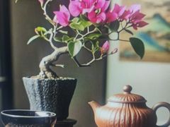 -泰古龙抓龙筋·spa按摩(浦东店)