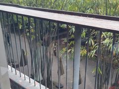 -生如夏花泰式火锅(西村黑金店)