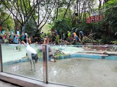 -广州长隆飞鸟乐园