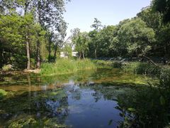 -白水寺森林公园