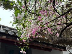 -深圳国际园林花卉博览园