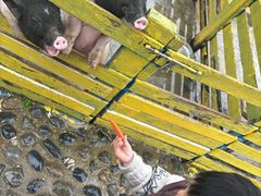 -宁波九龙湖开元度假村