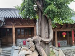 -豫丰汇河南名菜楼(武记餐饮)