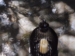 -海南清水湾莱佛士酒店