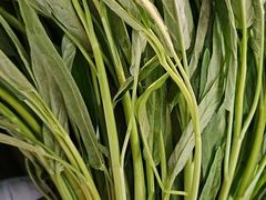 -三品香·江浙菜(松江九谊店)