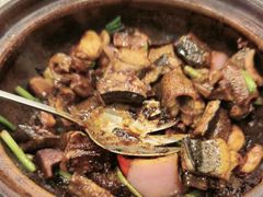 -大嫂镬仔·焖鸡煲·啫啫煲(逢源路店)