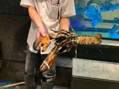 -海都六福酒家(世博广场店)
