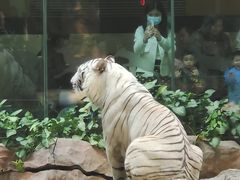 -麒麟中餐厅·经典粤菜·地道菜式老字号(广州长隆酒店)