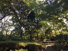 -台场海滨公园船码头