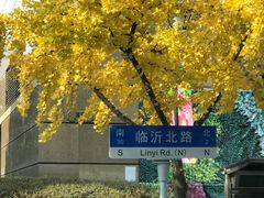 -巴黎春天(浦建店)