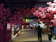 -i尚花田电影小镇