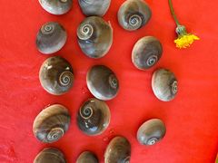 -碧海银沙海鲜餐厅(恒大海上威尼斯店)