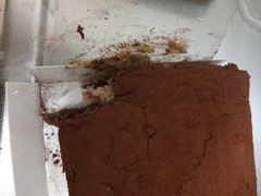 巧克力堂岛卷-檬舒舒MonChouChou(久光百货店)
