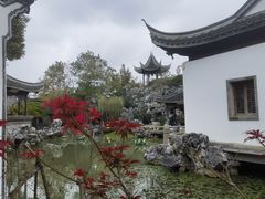 -芥子园