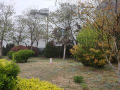 -青岛银沙滩温德姆至尊酒店