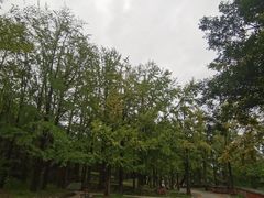 -阳台山自然风景区