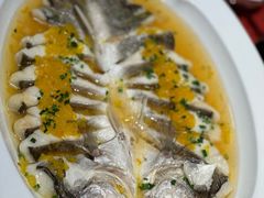 -燕郊烧鸽子(酷车小镇店)