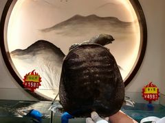 -东湖印象汉寿特色甲鱼钵子菜(渔人码头店)