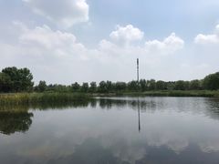 -永定河休闲森林公园