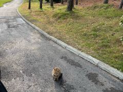-东庄海岸高尔夫俱乐部