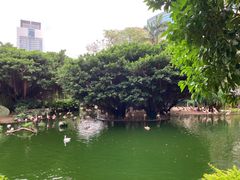 -九龙公园