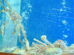 -珍宝海鲜JUMBO Seafood(ifc店)