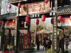 -合肥滨湖国家森林公园