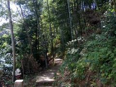 -山沟沟景区