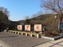 -香雪海