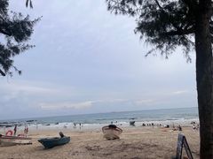 -西涌国际滨海旅游区