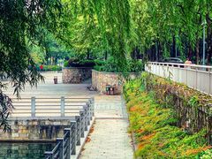 -后襄河公园