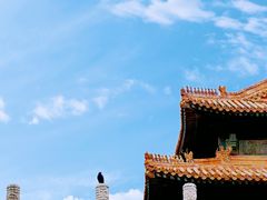 -故宫博物院(故宫)