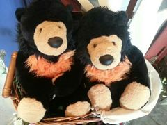 -济州岛泰迪熊博物馆