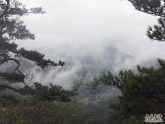 -王顺山国家森林公园