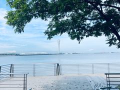 -上海吴淞炮台湾国家湿地公园