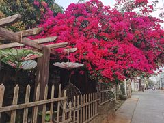 -花乐餐厅(涠洲岛店)