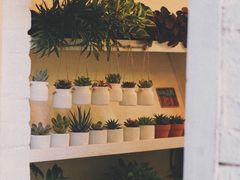 -小洲村