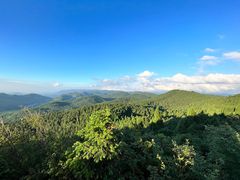 -武陵山森林公园