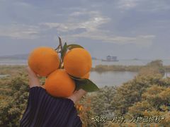 -亮河湾山庄